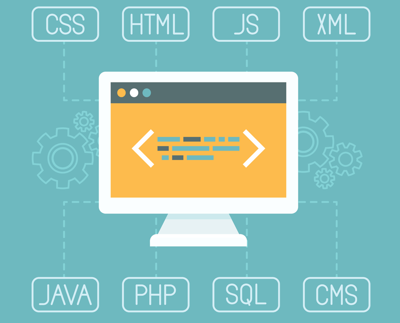Custom Web Application Development